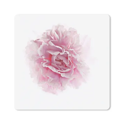 Produktbild von MuchoWow® Mauspad Mousepad Draufsicht auf eine rosa Pfingstrose mit weißem Hintergrund 30x30 cm - Mousepads - Maus Mat - Pad - Mausunterlage - Gaming