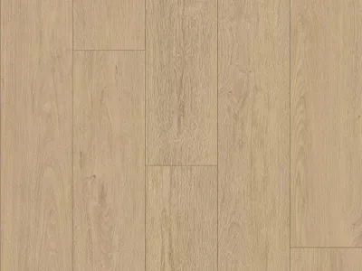Produktbild von 2,26 m² | Laminat Atlantic 8 Cream Darcy Oak K844