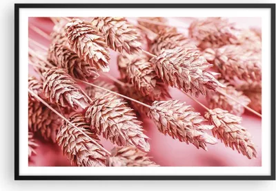 Produktbild von Gerahmtes Poster - Schwarzer Rahmen - Klinge Gras getrocknet - 91,5x61 cm - Wand Bild - Wanddeko - Wandbilder - Kunstposter - Wandposter - Bilderrahmen - Bilder - Kunstdruck - P2BAA91x61-5120