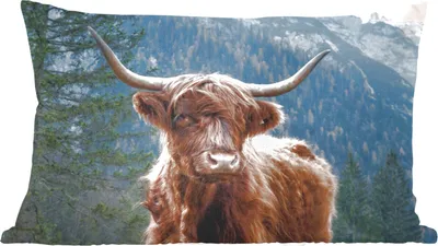 Produktbild von MuchoWow® Zierkissen Sofakissen Wohnzimmer Dekokissen 60x40 cm Schottisches Hochlandrind - Wald - Höhle - Kopfkissen - Polster mit Foto