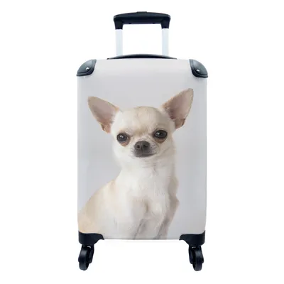 Produktbild von MuchoWow® Koffer Handgepäck Trolley Rollkoffer Kleine Reisekoffer mit 4 Rollen - Porträt eines kleinen weißen Chihuahuas - Cabin Size < 55x40x23 cm & 55x40x20 cm - Fotokoffer - Kabinenkoffer - Boardgepäck - Reise-Box - Reisekoffer - Reisegepäck - Koffer mit Bild - Trolley für Kinder