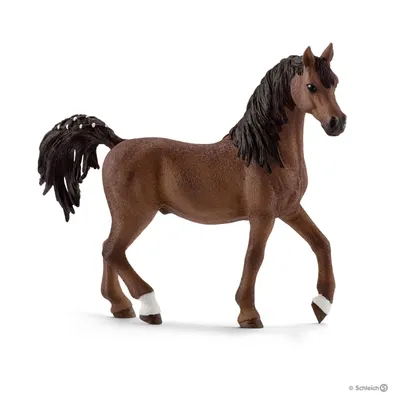 Obrázok produktu pre Arabský žrebec Schleich