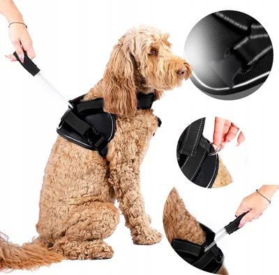 Immagine prodotto di ️Wobell | Pettorina riflettente per cani con maniglia corta integrata, regolabile, taglia M | impermeabile e imbottita (circonferenza 58-71 cm, nera)