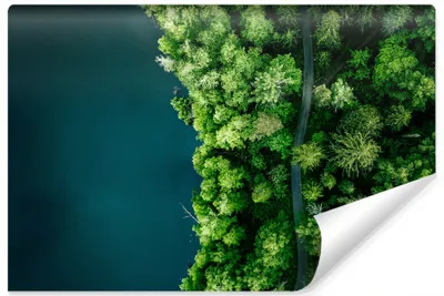 Produktbild von Muralo XXL Selbstklebende FOTOTAPETE See BaeUME Aussicht von oben 3D Effekt (B) 104 cm x (H) 70,5 cm Tapete Wandtapete WOHNZIMMER SCHLAFZIMMER 4599