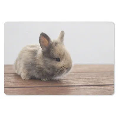 Produktbild von MuchoWow® Schreibtischunterlage Baby - Kaninchen - Holz 60x40 cm - XXL Mauspad - Großes Mauspad