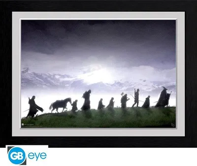Produktbild von GB Eye poster im Rahmen Herr der Ringe Fellowship 30 x 40 cm