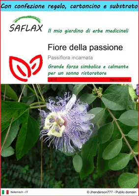 Immagine prodotto di SAFLAX Set regalo - Fiore della passione - 5 semi - Passiflora