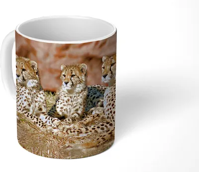 Produktbild von MuchoWow® Tasse Kaffeetasse Kaffeebecher 350 ml Gepardenmutter und -junge Teetasse - Fototasse - Becher - Keramikbecher - Teebecher - Kaffeetasse - Bürotasse