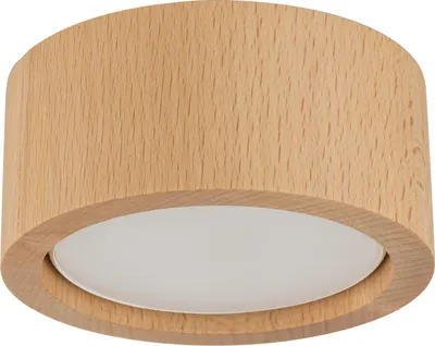 Produktbild von EVE Holz Deckenleuchte Buche 1-flammig GU10/GX53