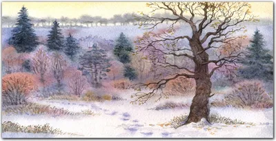 Produktbild von Coloray - Bild aus Glas - Glasbilder - 100 x 50 cm - Küche Wanddekoration Dekoration Wohnzimmer Gehärtetes Glas Glasblock mit Bild - Wald Winter Natur