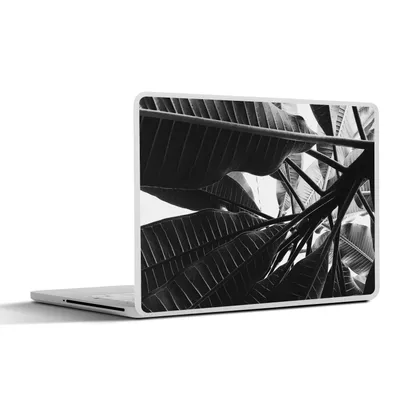 Produktbild von MuchoWow® Laptop Aufkleber Sticker Cover Palmenblatt - Tropisch 40x30 cm - Laptop Dekoration - Selbstklebend