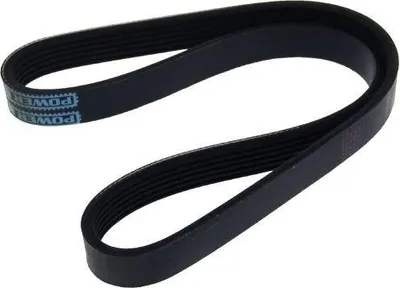 Produktbild von MAPCO Keilrippenriemen 825mm für NISSAN ALMERA TINO (V10) 260825