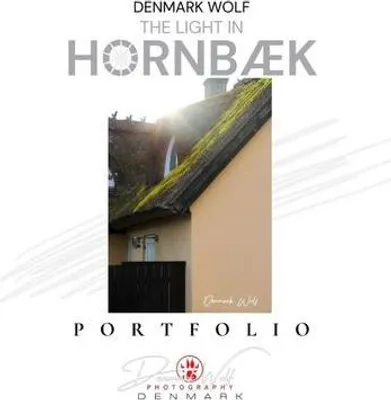 Zdjęcie produktu dla The Light in Hornbæk