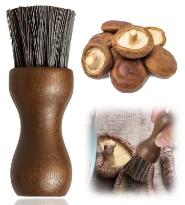 Gemüsebürste aus Buchenholz mit Naturborsten, 8 x 2,5 cm
