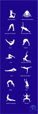 Produktbild von TRENDY SPORT Yogamat Home 180x60x0,5cm Blau