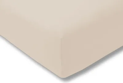 Produktbild von Estella Jersey-Spannlaken Atelier Farbe puder 100x200 cm