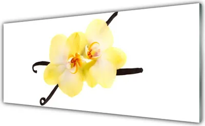 Produktbild von Glasbilder 125x50 Wandbild Druck auf Glas Blumen Pflanzen