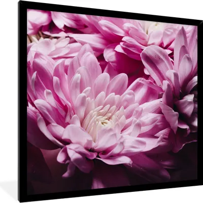 Produktbild von MuchoWow® Gerahmtes Poster Blumen - Rosa - Natur 40x40 cm - Poster mit Schwarzem Bilderrahmen Wandposter Rahmen Foto Bilder - Mit Rahmen - Wanddekoration Schlafzimmer