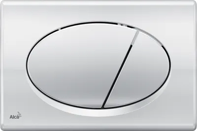 A close-up studio shot of a toilet flush plate.