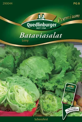 Produktbild von Quedlinburger Saatgut - Batavia-Salat Leny - Samen - 290044
