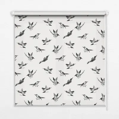 Produktbild von Seitenzug-Rollo Fensterrollo Jalousie - Thermo-Rollo Verdunkelungsrollo - 110x140 cm - Vögel