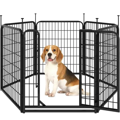A beagle dog sits inside a black metal dog playpen.