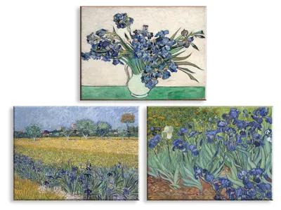 Van Gogh 3er-Set Leinwandbilder, 30x40 cm, Blumen & Lavendel