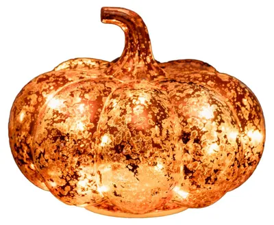 Produktbild von Beleuchtete Deko-Kürbis, 15 Mikro-LEDs, Ø 18,5 × 15 cm