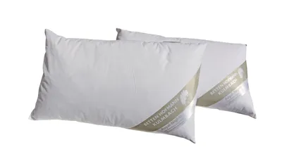 Produktbild von 2 Stück Kopfkissen Dekokissen Kleinkissen 30x50 cm Sofakissen Kuschelkissen 230g
