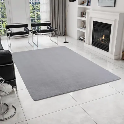 Zdjęcie produktu dla Homebyhome Prany Dywan Krótkow?osy Antypo?lizgowy i Mi?kki Nowoczesny Jednolity Design do Salonu i Sypialni, Rozmiar: 160x220 cm