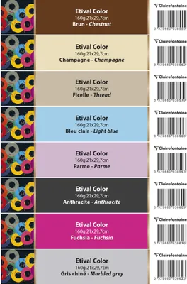 Produktbild von Clairefontaine Etiketten Etival Color A4 160g - 93836C