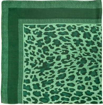 Produktbild von Art Of Polo Damenschal Argamue grün Universal