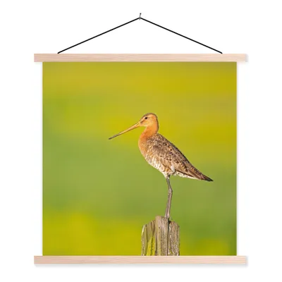 Produktbild von MuchoWow® Textilposter Vogel - Tiere - Uferschnepfe - Pfahl - Grün 120x120 cm mit holzfarbenen Rahmen - Textil-Poster
