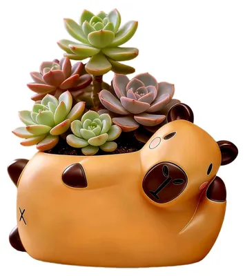 Produktbild von Blumentopf Gesicht, Sukkulenten Topf mit Smiley, Capybara Kreativ Blumentopf, Geschenk für Pflanzenliebhaber Innen Outdoor Dekorationen Haus und Garten Kreativität Geschenkideen
