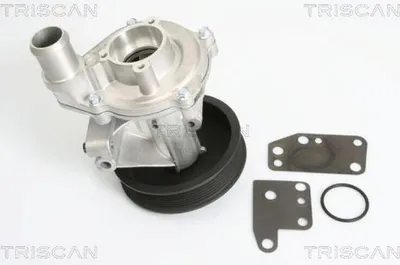 Produktbild von TRISCAN Wasserpumpe 8600 16022