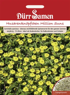 Produktbild von Husarenknöpfchen Million Suns | Husarenknöpfchensamen von Dürr Samen