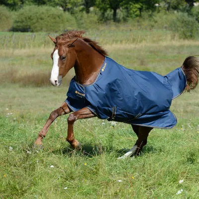 Produktbild von Bucas Irish Turnout 150 g, Outdoordecke, Weidedecke in verschiedenen Farben, Farbe:Navy/Gold, Größe:145