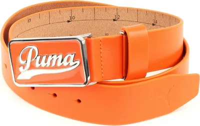 Produktbild von PUMA Leder Gürtel Script Fitted Belt CTL W115 Vibrant Orange neonorange
