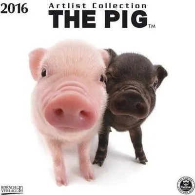 Produktbild von Pig 2016/Brosch