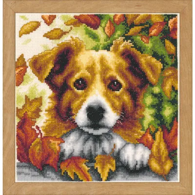 Produktbild von Vervaco PN-0147275 Zählmusterpackung Hund im Herbst