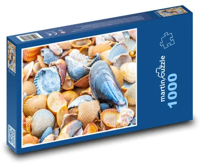 Obrázok produktu pre Puzzle 1000 Morské Mušle a Kôrovce - martinpuzzle