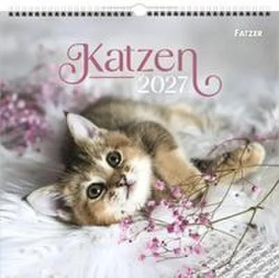 Produktbild von Wandkalender 2027 Katzenmotive 33,5 x 32 cm Spiralbindung stabiler Aufhängebügel