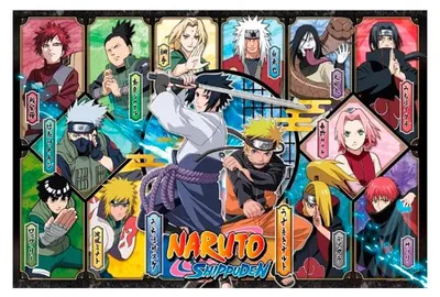 Image de Naruto Shippuden Puzzle Ver. D
