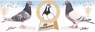 Produktbild von Auto-Aufkleber - Tauben Die Champions - Gr. ca. 22 x 8 cm - TB762/2