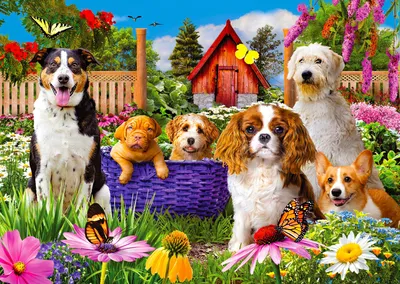 Productafbeelding van Puzzel van 1000 stukjes: "Enjoy – Puppy Patch"