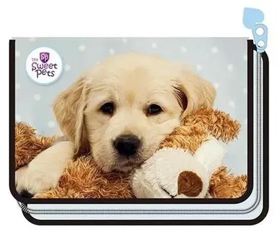 Produktbild von Einfach-Federmäppchen mit Zubehör „Hund – Beniamin“