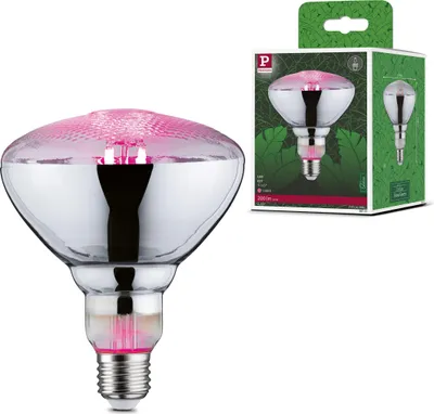 Image de Paulmann Grow Green Edition Filament 230V Réflecteur LED