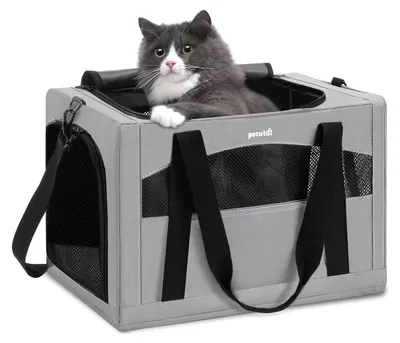 Immagine prodotto di Trasportino per gatti - Borsa da trasporto per animali - Fino a 5 kg - 43 x 28 x 28 cm - Grigio