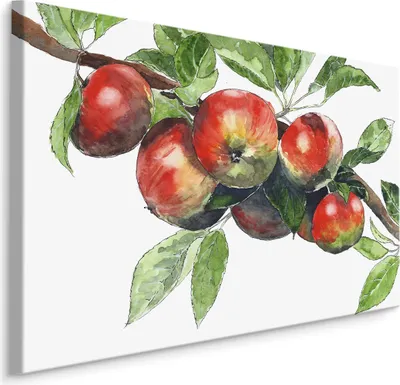 Produktbild von Fabelhafte Canvas LEINWAND BILDER 90x60 cm XXL Kunstdruck Obst Äpfel Baum Blätter