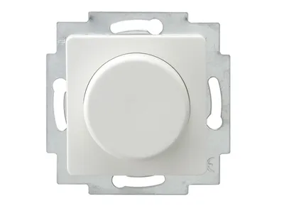 Produktbild von H-Regler 300W Ws. Primaluxe  11442